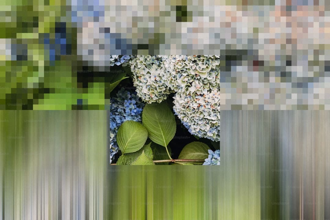 山粉是什么粉
